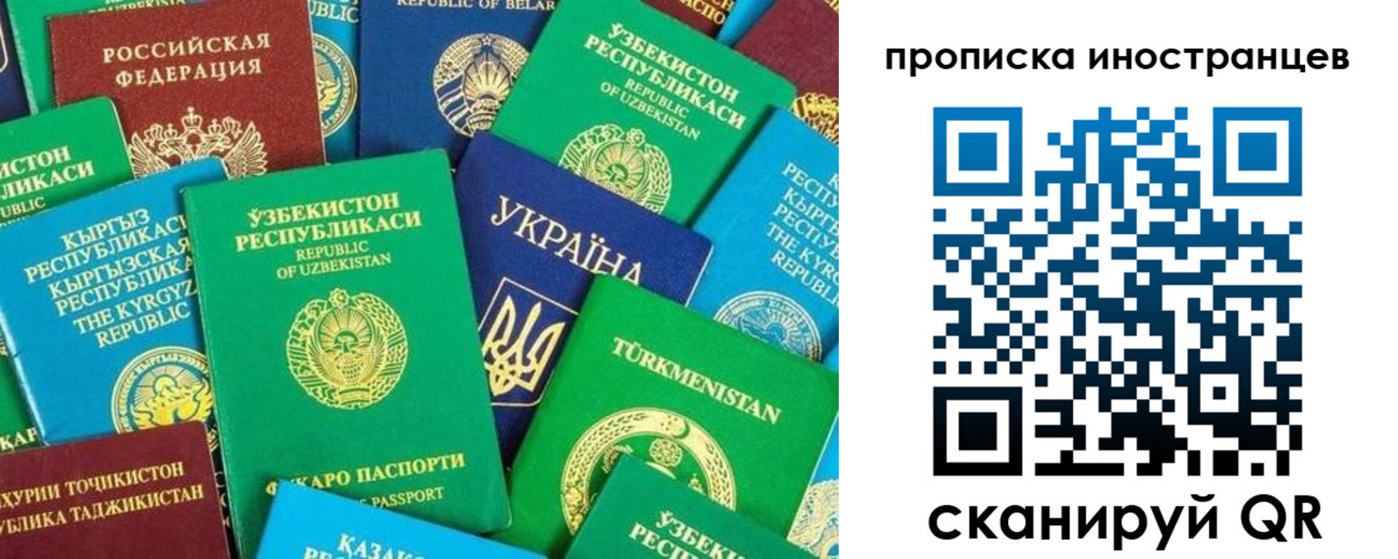 прописка гарантия в Можге